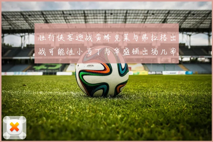 独行侠客迎战黄蜂克莱与弗拉格出战可能性小马丁与华盛顿出场几率高